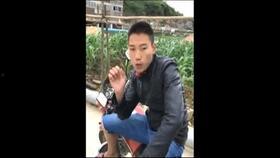 龙门阵爆料视频,揭秘幕后真相，带你走进神秘事件背后  第3张